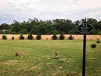  Islamic cemetery 