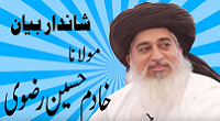  Maulana Rizvi 