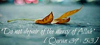  Do not despair of the Mercy of Allah 